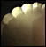 Ambient Light