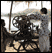Sugar Cane Juice Stand