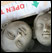 Two Saraswati heads