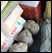 Five different Saraswati heads