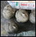 Different angle of the Saraswati heads