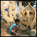 Dilip Kumar working on Saraswati