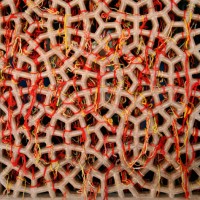 Red threads tied onto the carved marble screens in the tomb of a Sufi Saint, Salim Chistie at Fatepur Sikri, Uttar Pradesh.