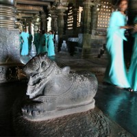 Students pass by Nandi Bull facing Shiva murti inside Hoysaleshwara Temple, Belur, Karnataka.