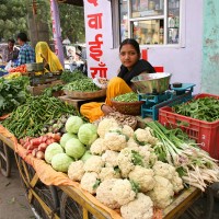A majority of Hindus (more than 80% of India’s population) are vegetarians. Vegetable vendors are a common sight in all cities, towns and villages. In the morning, they deliver vegetables on carts to the homes of their regular clients before they settle in their spots in the vegetable markets for the day.