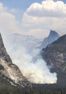 Controlled Burn - Yosemite 2021 Joan K Sharma